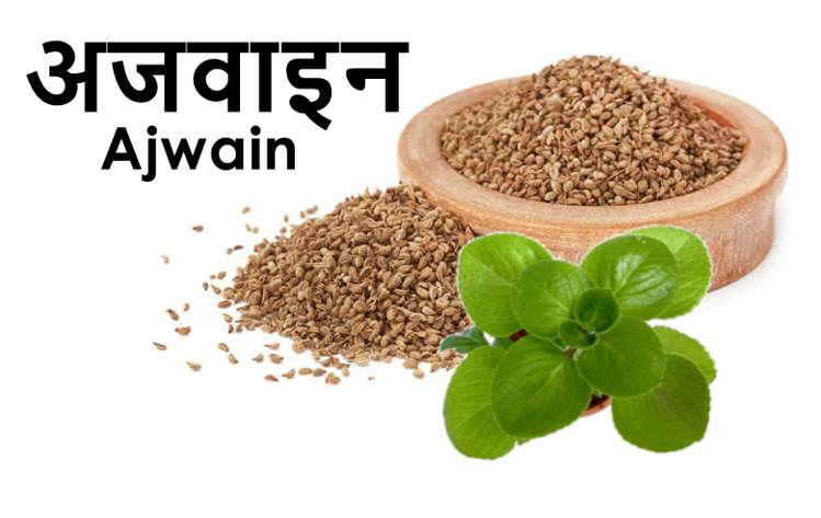 Ajwain अजवाइन दिलाये राहत सर्दी और जुकाम से